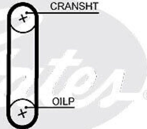 GATES-OE T364HOB Timing Belt for FORD,FORD USA,VW