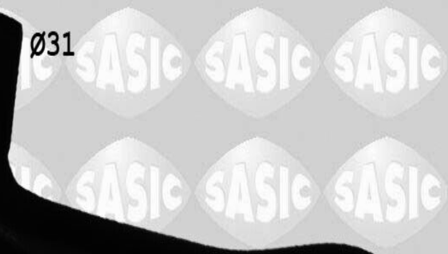 Upper SASIC 3404063 Radiator Hose for RENAULT