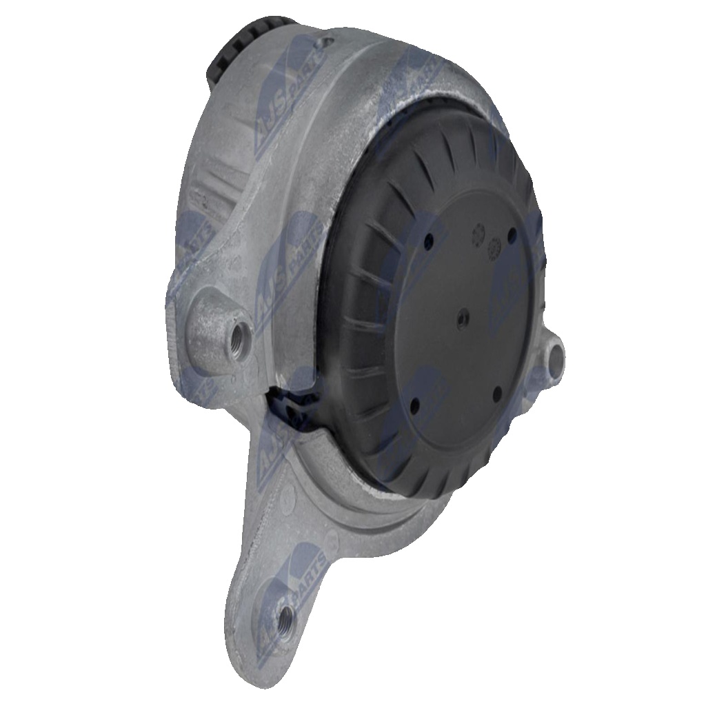 Engine mount Right Hydro Mount ZPS-ME-029 NTY for MERCEDES-BENZ C-CLASS