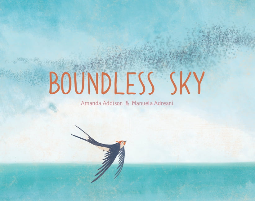 Boundless Sky by Amanda Addison HARDBACK - Image 4