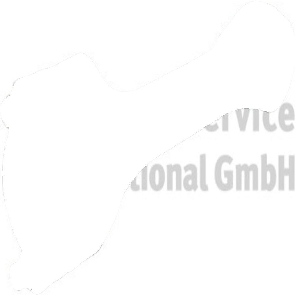 Connecting Rod Fits Citroën Relay Ford Transit Peugeot KOLBENSCHMIDT 50009234