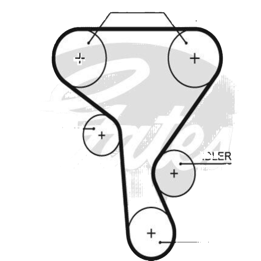Timing belt 5573XS GATES for RENAULT NISSAN OPEL - Image 3