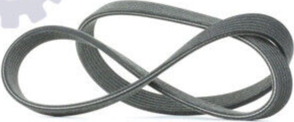 6DPK1195 DAYCO V-Ribbed Belt for AUDI,FORD,SEAT,SKODA,VW