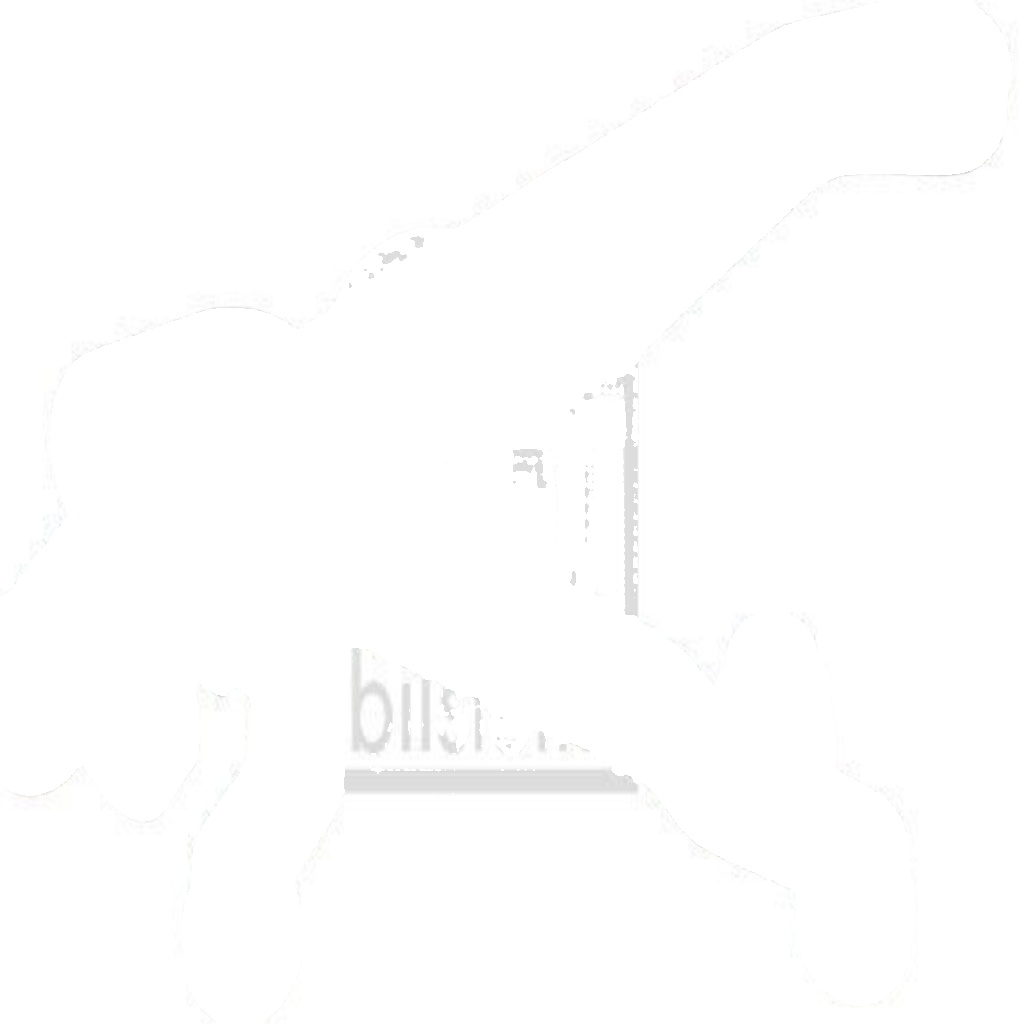 FEBI 179608 ROLLER GUIDE SLIDING DOOR