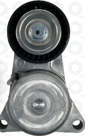 Multi-ribbed V-belt tensioner T39194 GATES for MERCEDES-BENZ S-CLASS M-CLASS CLS
