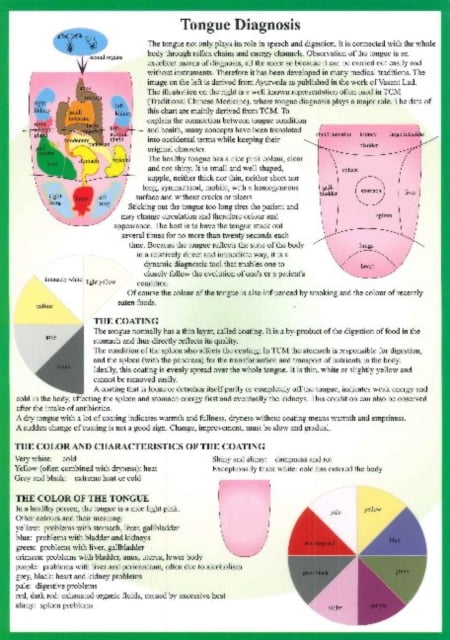 Tongue Diagnosis -- A4 by  Jan Van Baarle - 9789079887910 - Image 5
