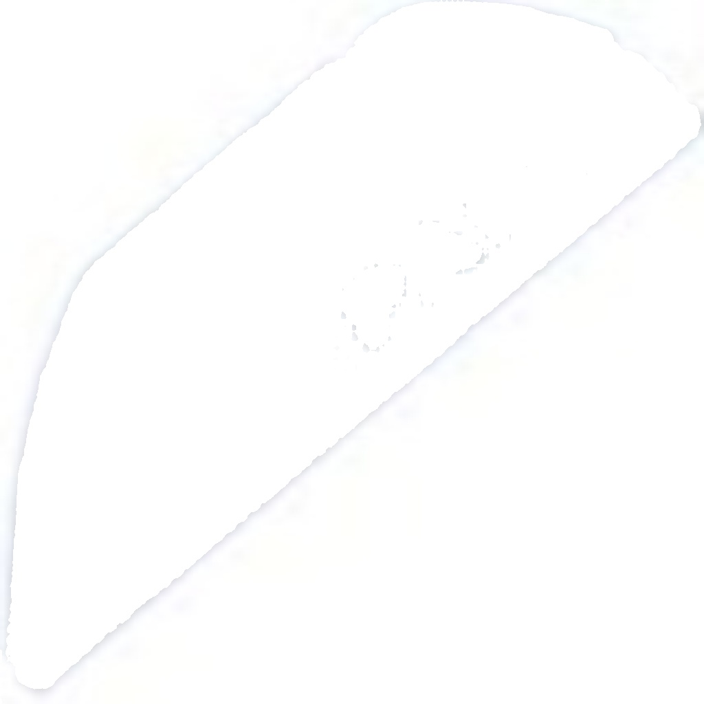 HZT-PE-002 NTY Brake Caliper for PEUGEOT