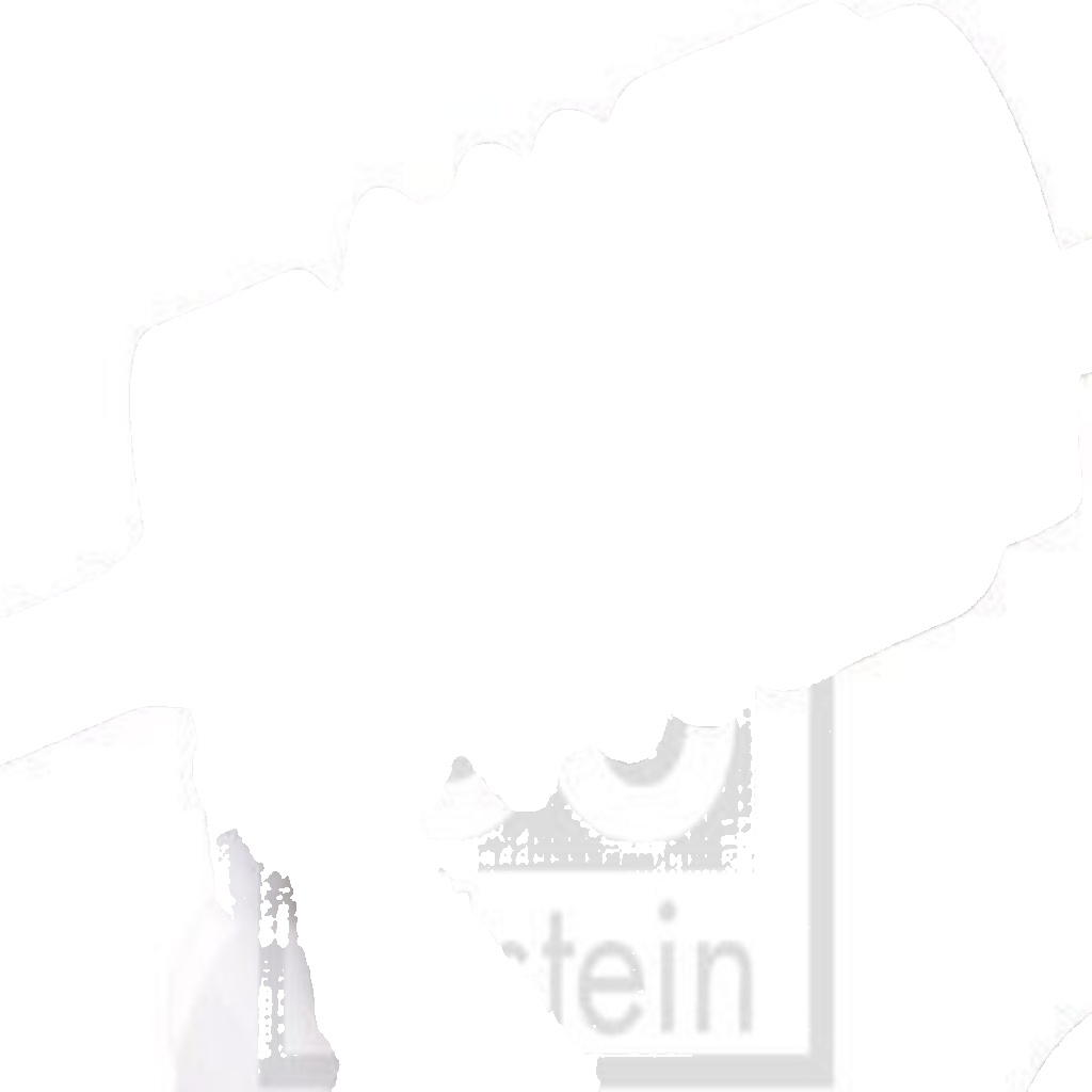 Original FEBI BILSTEIN Windshield Washer Pump 05568 For Daewoo Opel