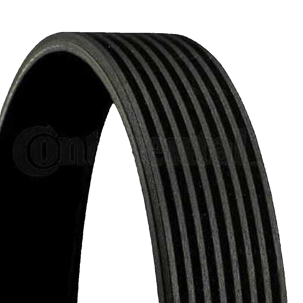 8PK1376 CONTINENTAL CTAM V-Ribbed Belt for MAN,MERCEDES-BENZ