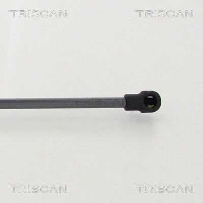 Triscan Gasfeder Hinten Audi Tt - Bild 4