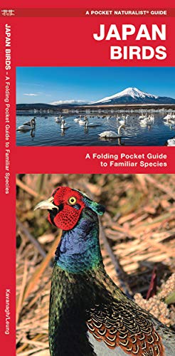 Japan Birds by James Kavanagh (Pamphlet) - Image 3