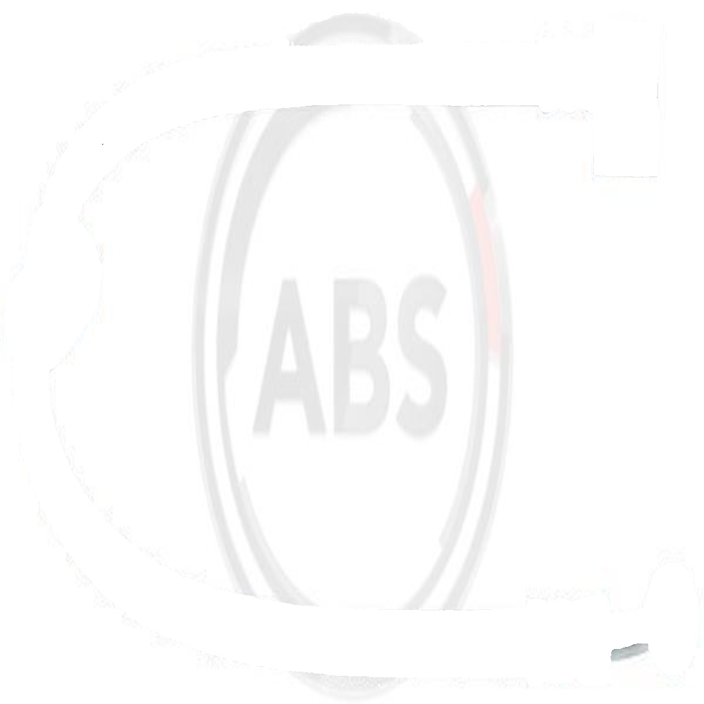 SL 5973 A.B.S. Brake Hose for HONDA