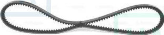 10A1300C DAYCO V-Belt for PEUGEOT