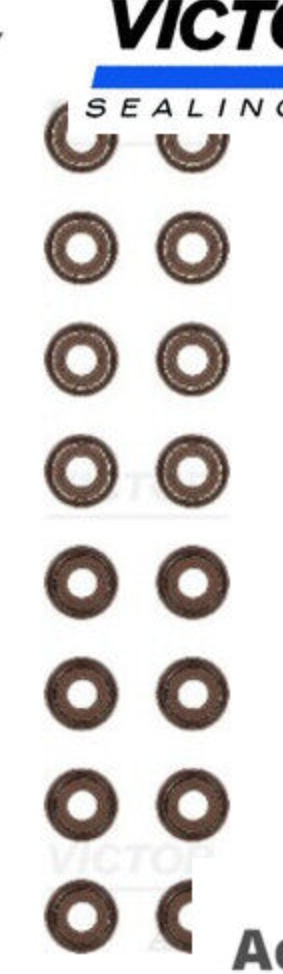 Fits REINZ USZCZELKI 12-53593-01 VALVE STEM SEALANT KPL. HONDA  ⭐UK Stock⭐