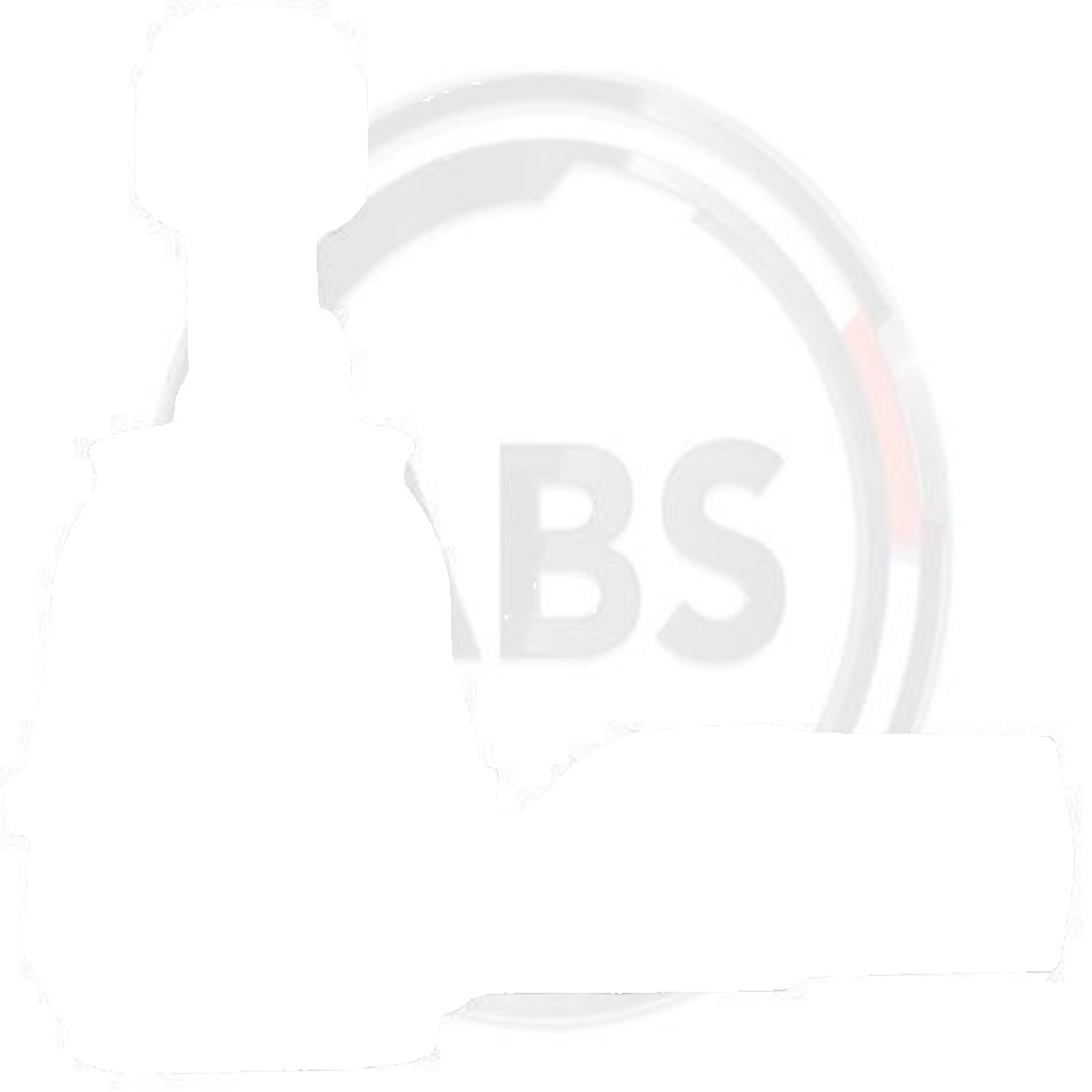 230161 A.B.S. Tie Rod End for HYUNDAI,MITSUBISHI