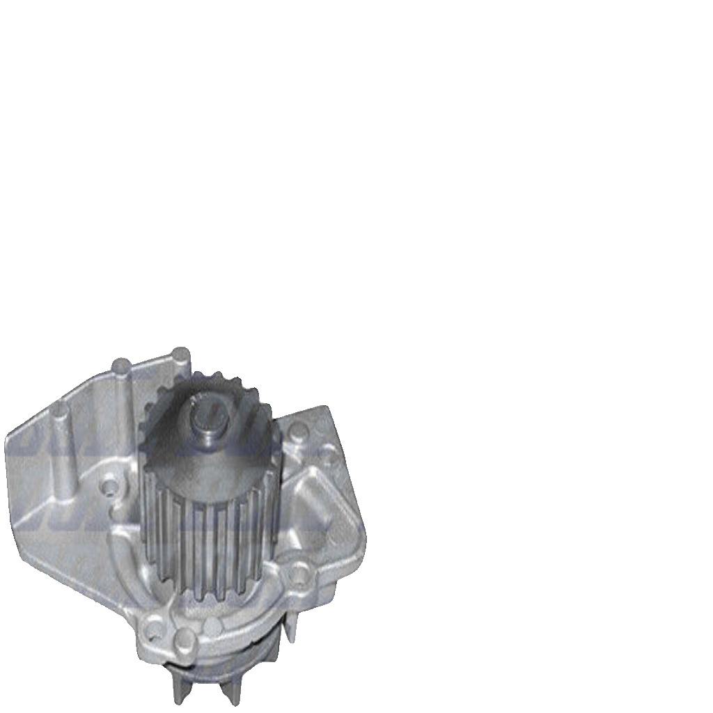 Fits DOLZ KD008 timing + pump BERLINGO C5 JUMPY XSARA + PICASSO 206 306 307 - Image 2