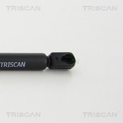 Triscan Gasfeder Hinten Citroen C4 - Bild 3