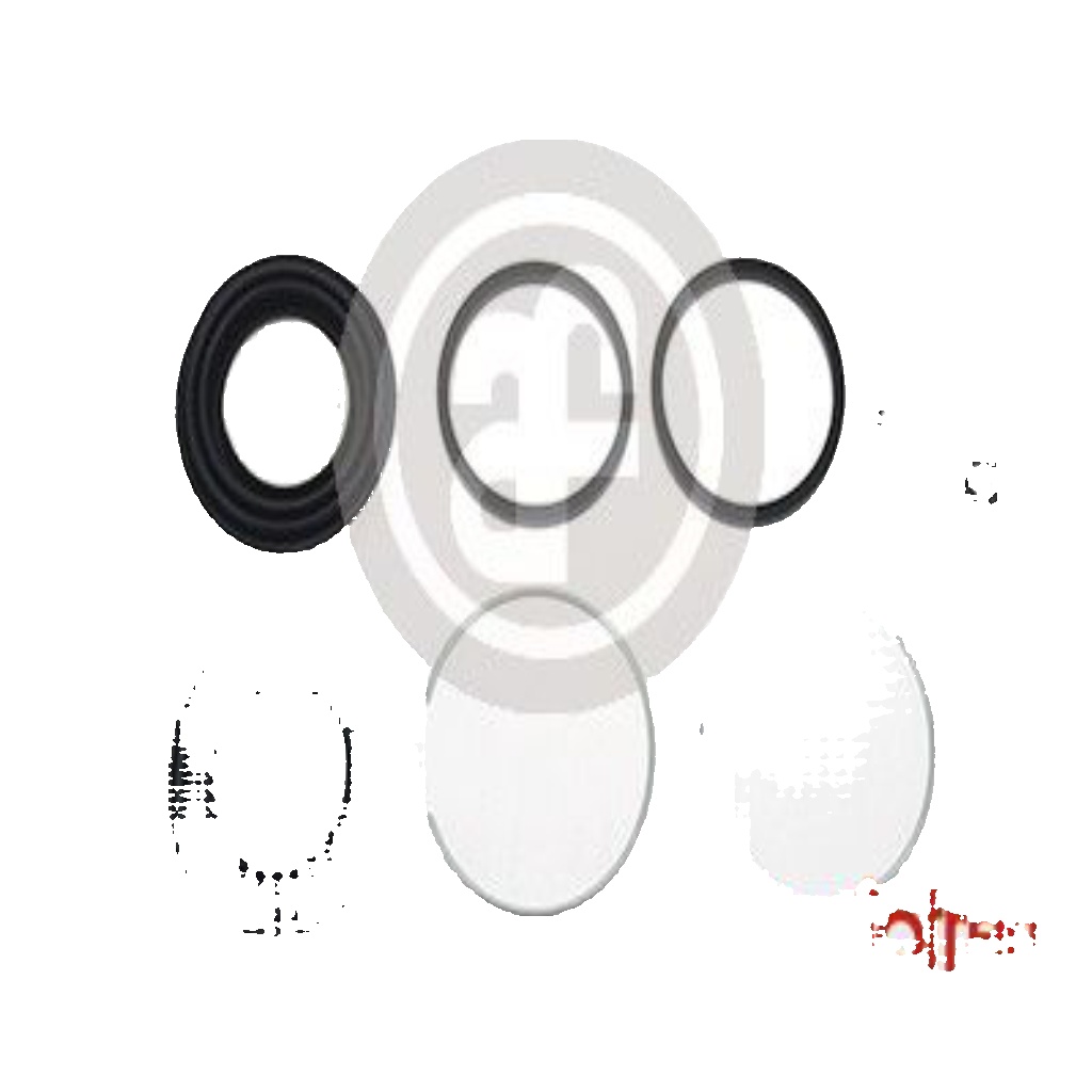 Fits AUTOFREN SEINSA D4835 LEXUS T CALIPER REPLACER   ⭐UK Stock⭐