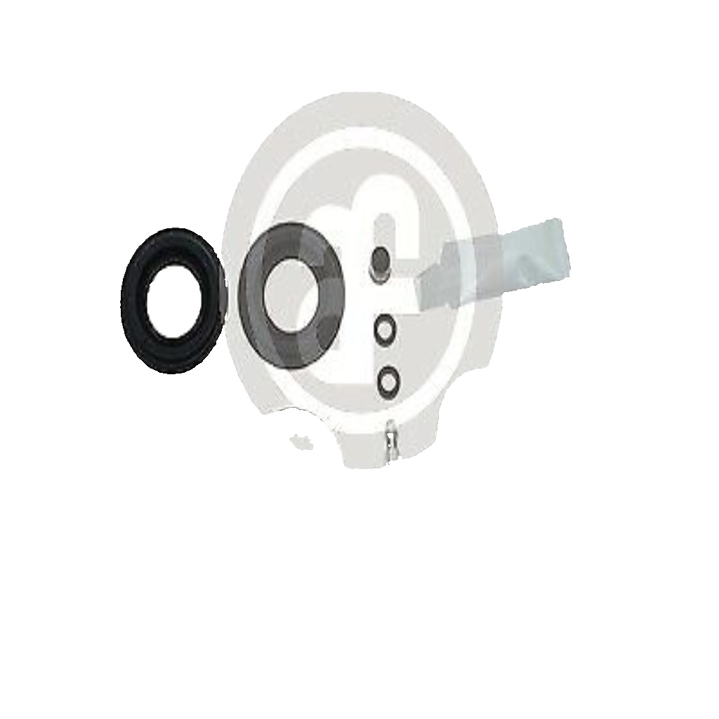 Rear AUTOFREN SEINSA D41669C Repair Kit, brake caliper for ALPINA,AUDI,CHEVROLET