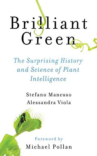 Brilliant Green by Alessandra Viola (Paperback Book) - Image 2