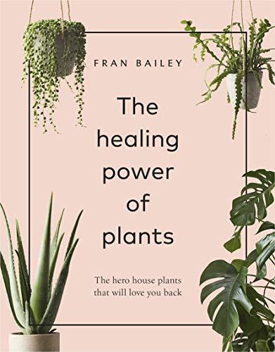 The Healing Power of Plants: The Hero House Plants by Fran Bailey (HB 2019) - Image 5