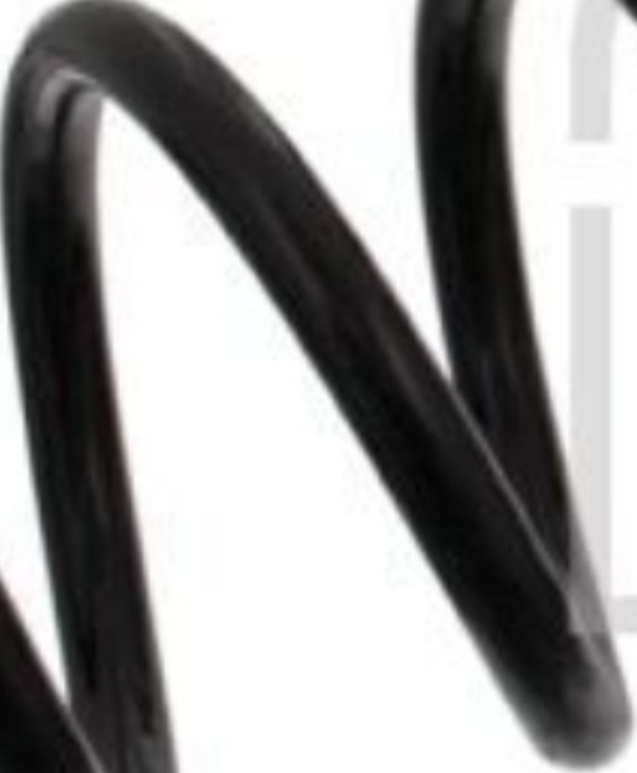 Rear FERDINAND BILSTEIN 37826 Coil Spring for SEAT,VW