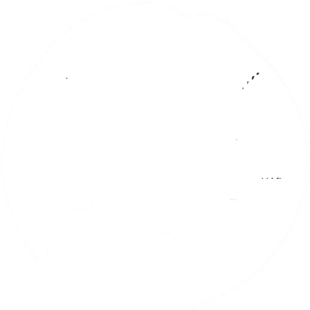 11254 A.B.S. Splash Panel, brake disc for MERCEDES-BENZ
