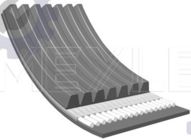 MEYLE GERMANY 050 007 1629 V-Ribbed Belt for BMW