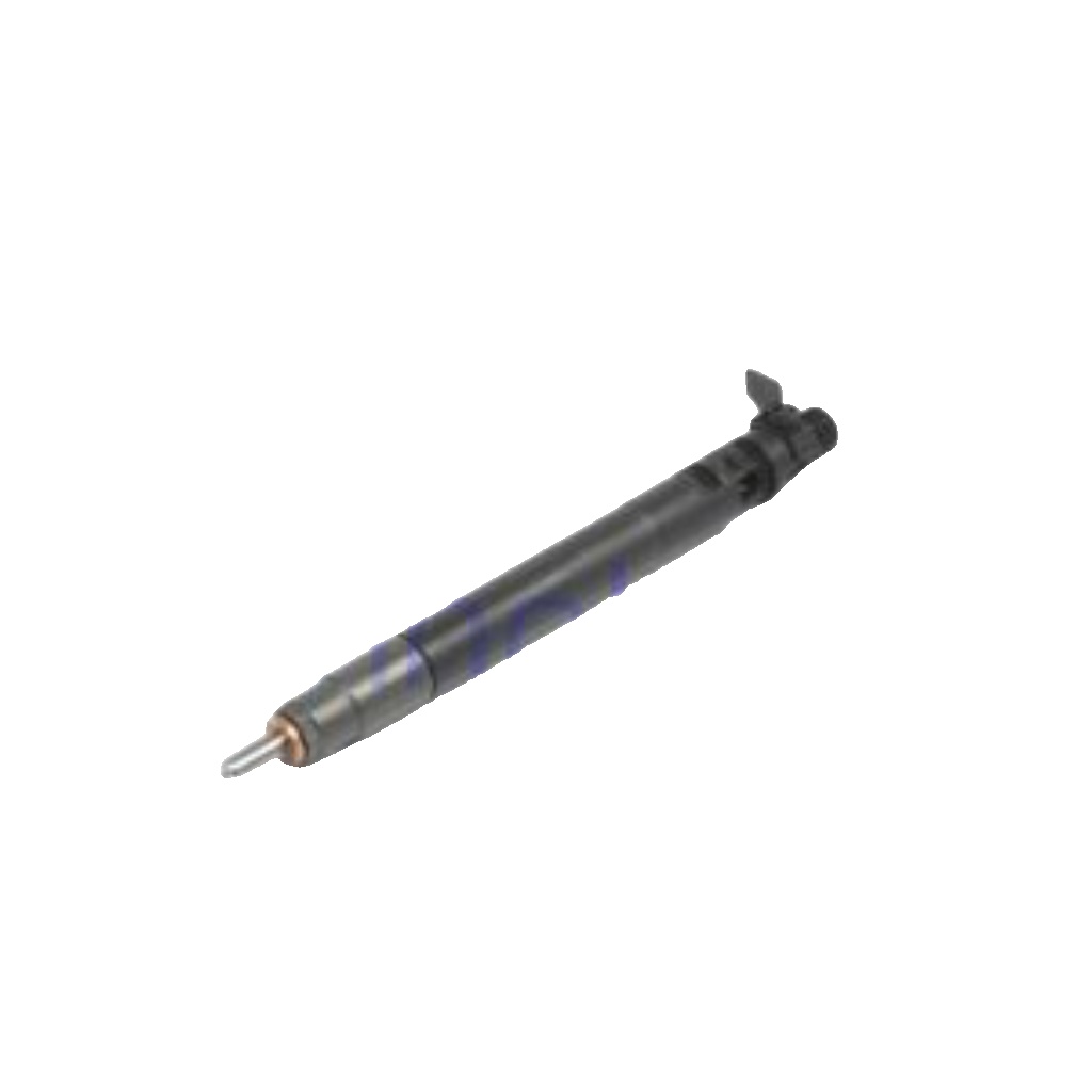 R00101DP DELPHI Injector for CITROËN,DS,FIAT,FORD,PEUGEOT