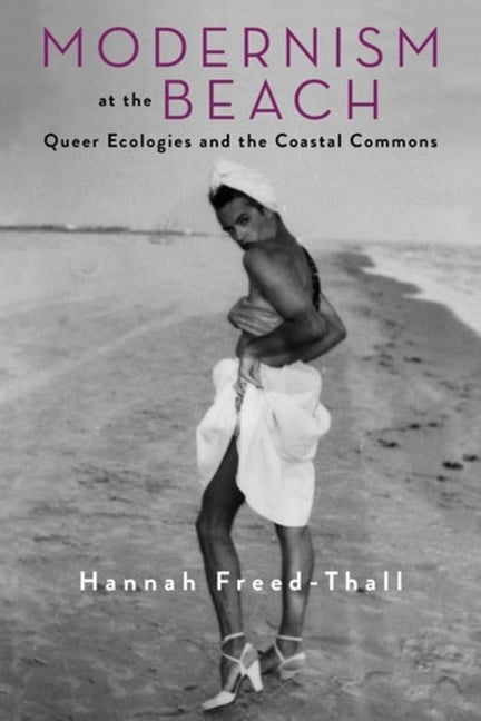 Modernism at the Beach - 9780231197090