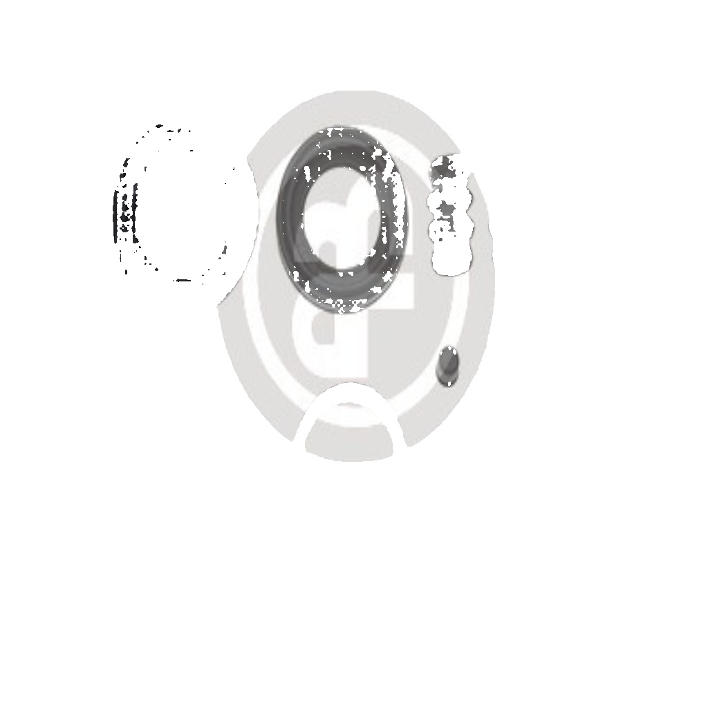 D4265 AUTOFREN SEINSA REPAIR KIT, BRAKE CALIPER FRONT AXLE FOR CITROËN FIAT MAZD