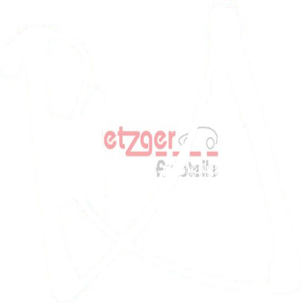 Original METZGER Window Regulator 2160029 For Audi