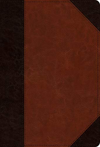 ESV Student Study Bible - 9781433564475