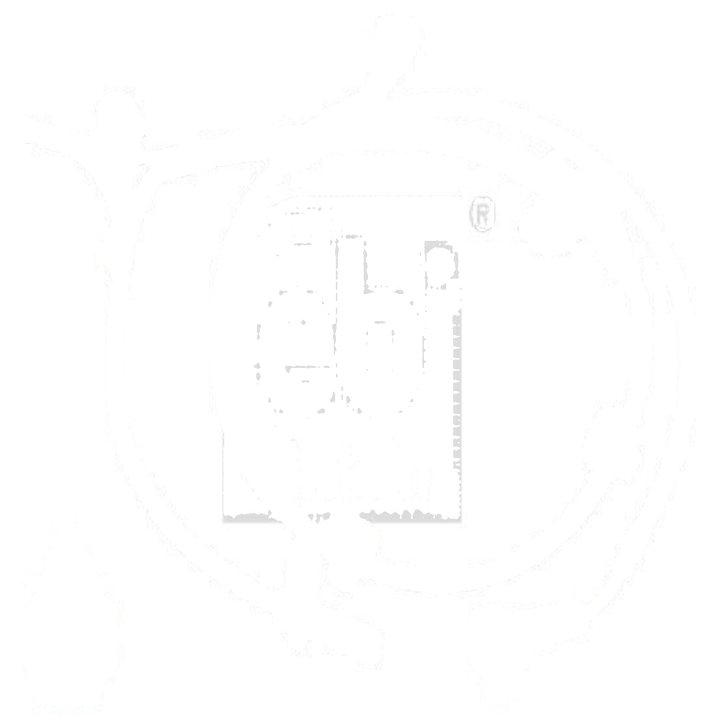 Front Right FEBI GERMANY 175498 Sensor, wheel speed for TOYOTA