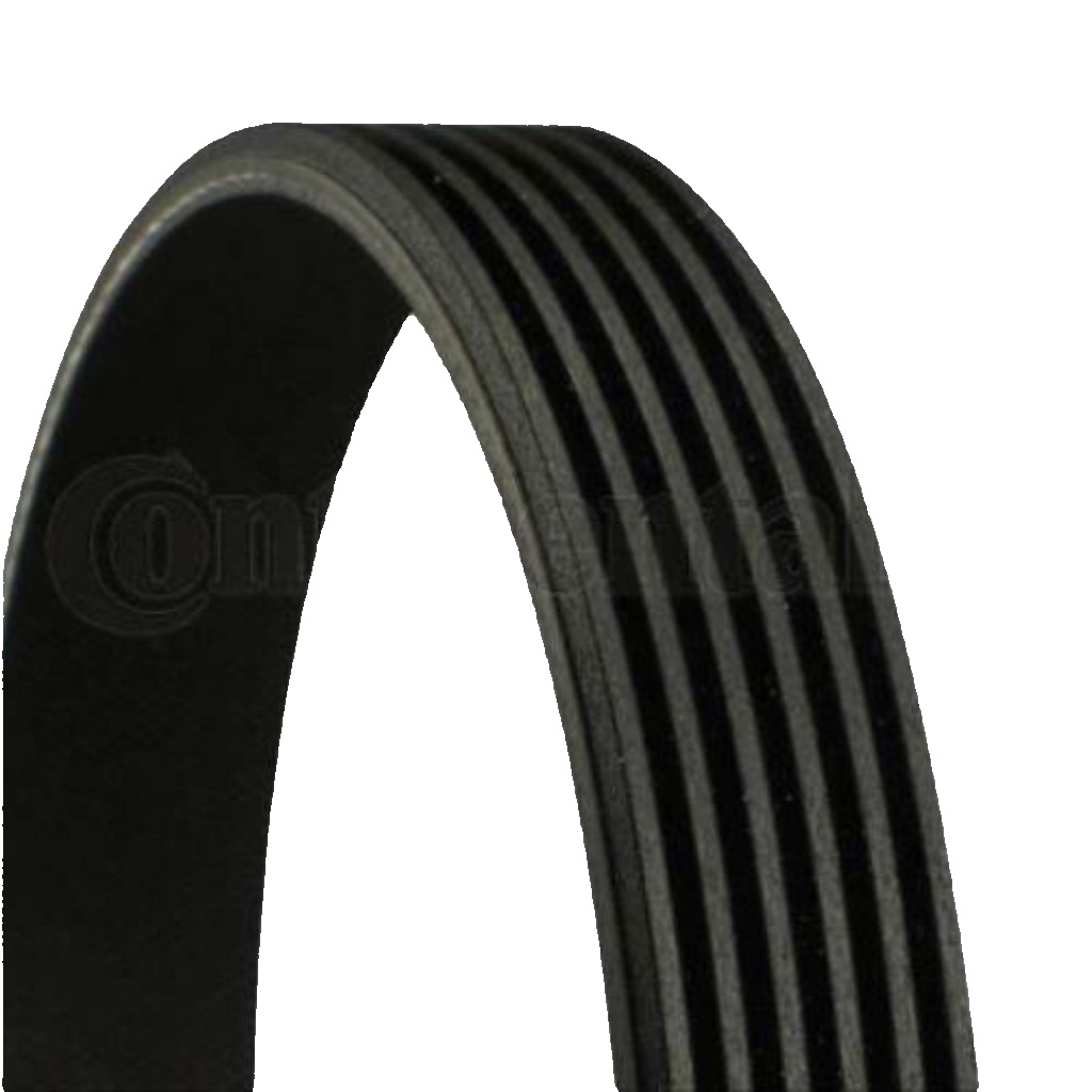 6PK1352 CONTINENTAL CTAM V-Ribbed Belt for CITROËN,FORD,FORD USA,MERCEDES-BENZ,P