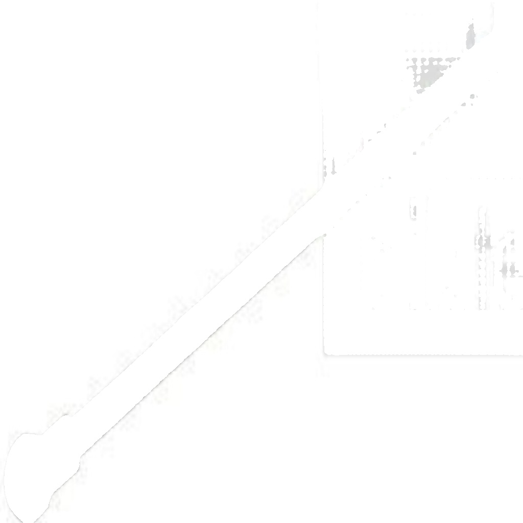 FEBI BILSTEIN GAS SPRING, BOOT/CARGO AREA BOTH SIDES CITROËN C3