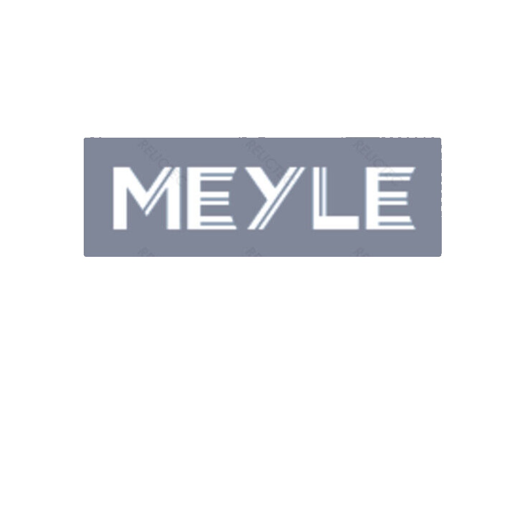 MEYLE 016 060 0110 LINK/COUPLING ROD STABILISER BAR Rear LH,Rear RH