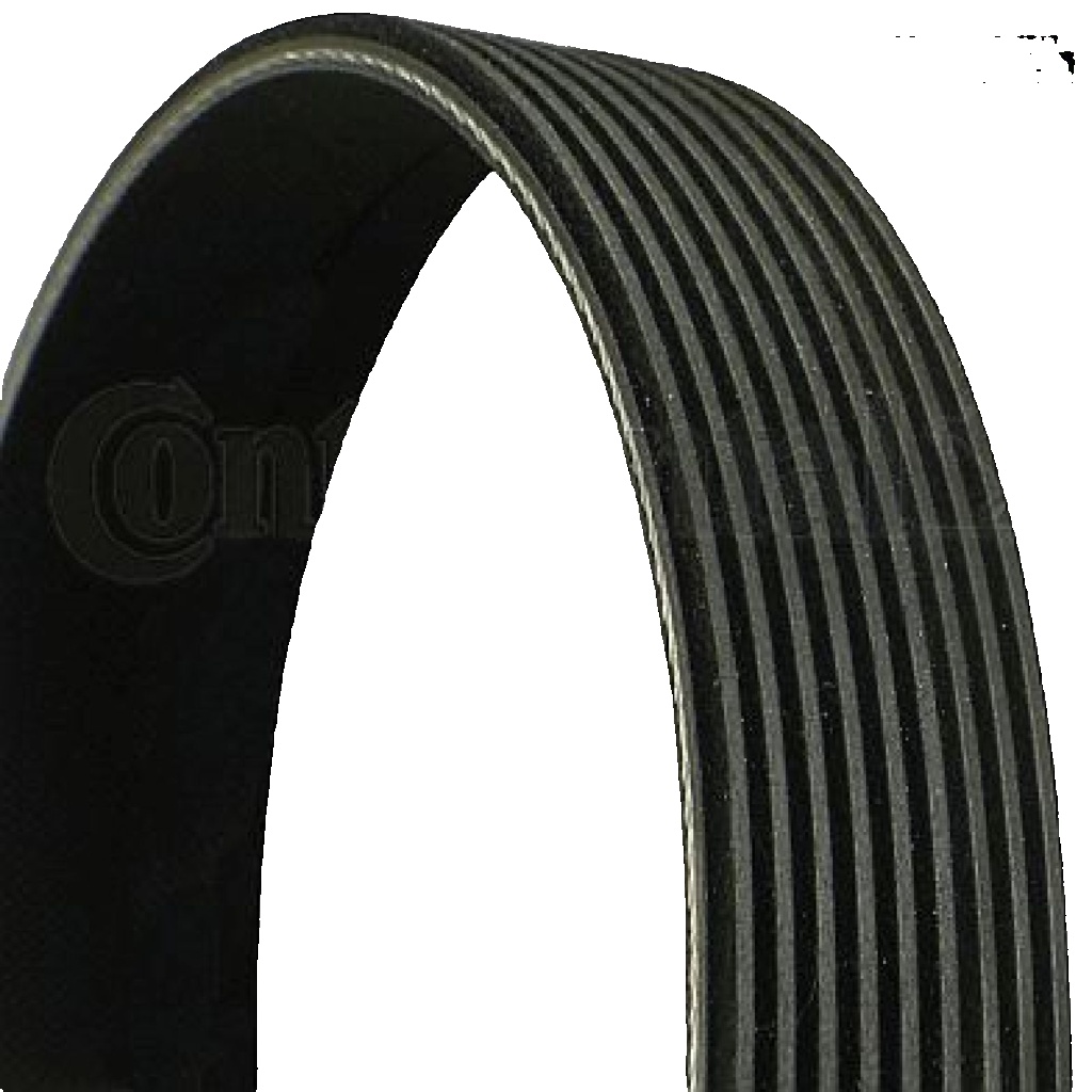 New V-Ribbed Belt 149975392 0149975392