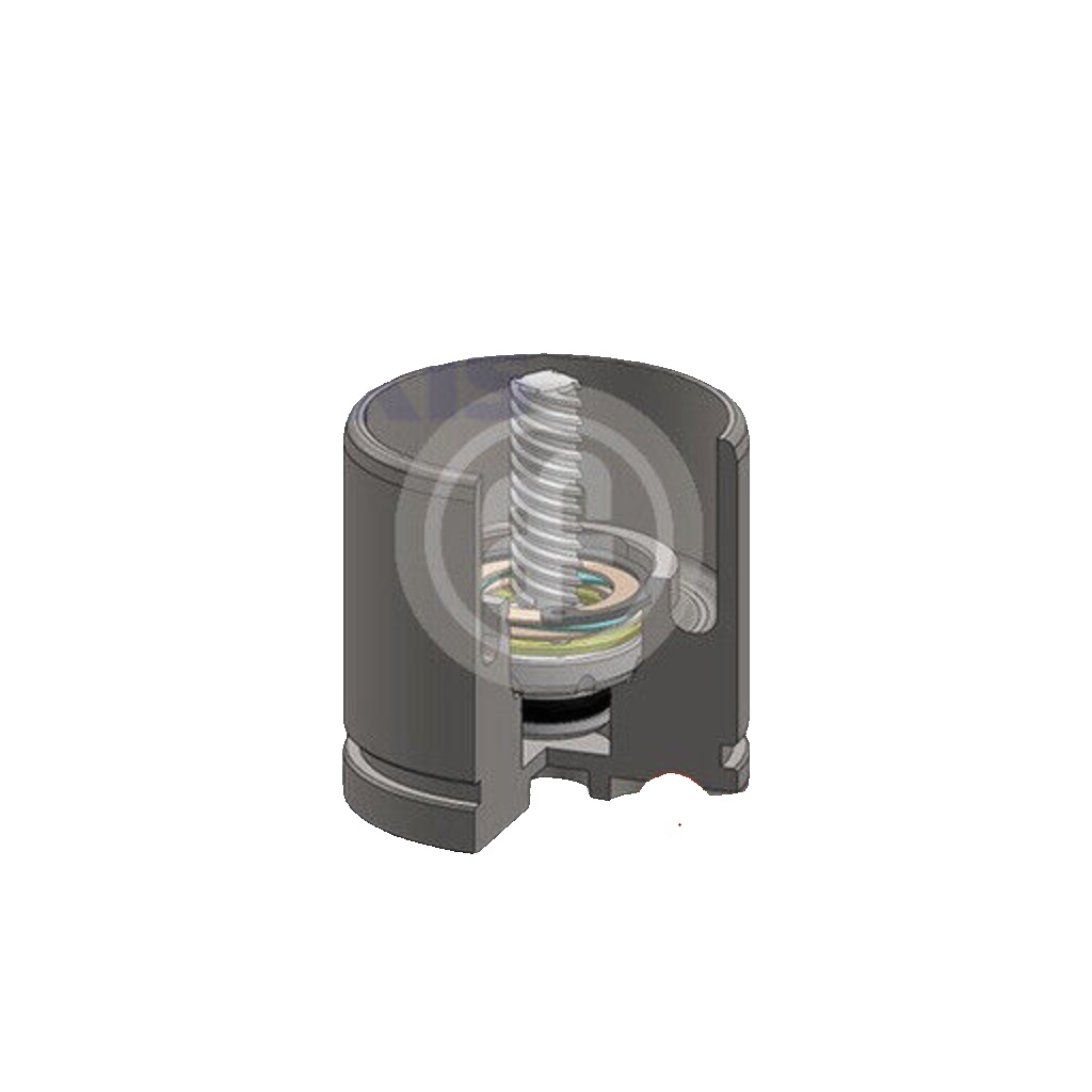 AUTOFREN SEINSA D025520LK Piston, brake caliper for CITRO�N