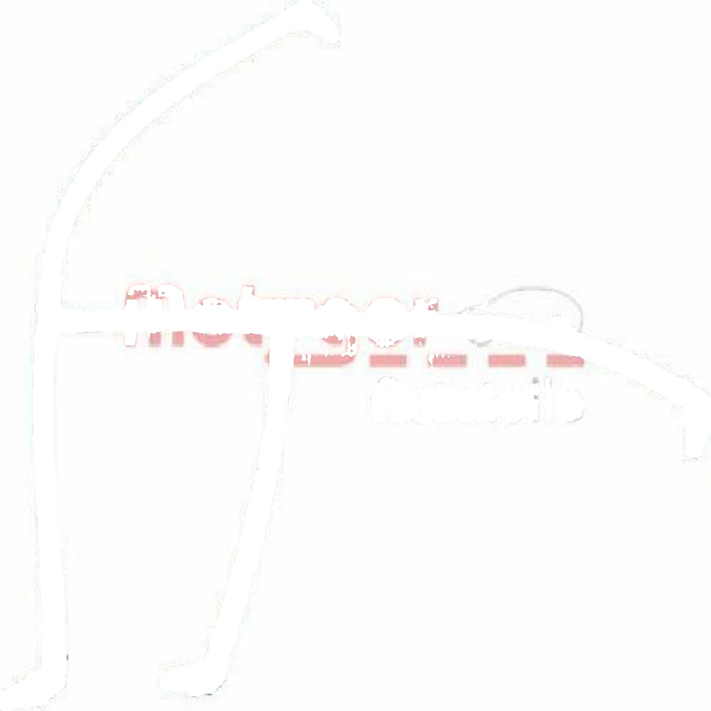 METZGER 0840049 Hose, fuel overflow for SEAT,SKODA,VW