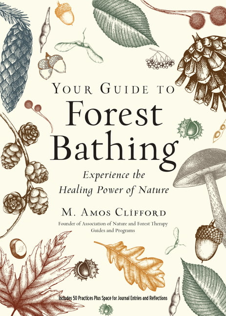 Your Guide To Forest Bathing - Image 2