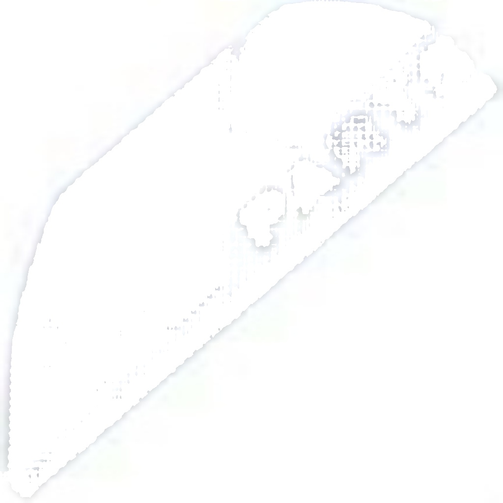 HZT-FR-001A NTY Carrier, brake caliper for FORD