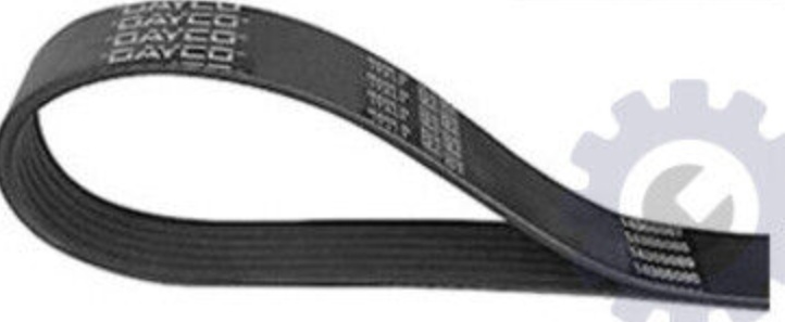 DAYCO 5PK1885 Keilrippenriemen Keilriemen für BMW