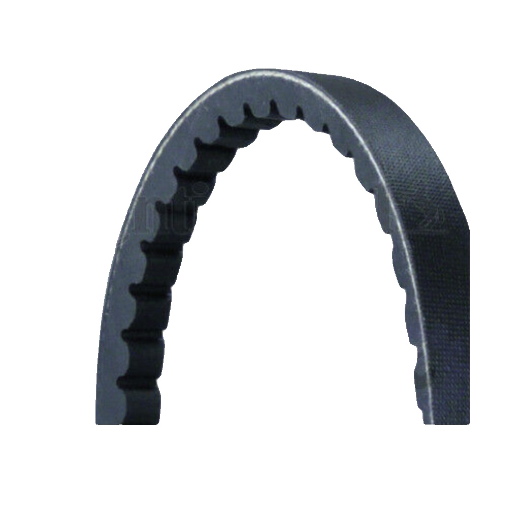AVX13X750 CONTINENTAL CTAM V-Belt for ,ALFA ROMEO,FIAT,HYUNDAI,IVECO,JAGUAR,LANC