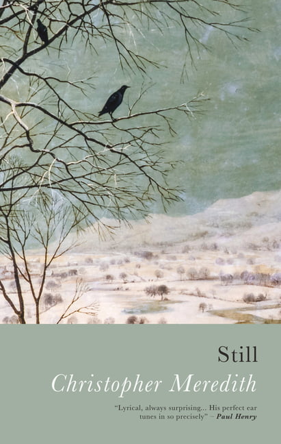 Still by Christopher Meredith (Paperback, 2021) - Image 2