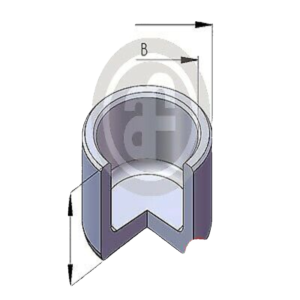 Rear AUTOFREN SEINSA D025475 Piston, brake caliper for CITROËN