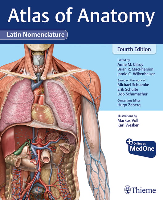 Atlas of Anatomy, Latin Nomenclature by Anne M Gilroy, Brian ... - 9781684204519