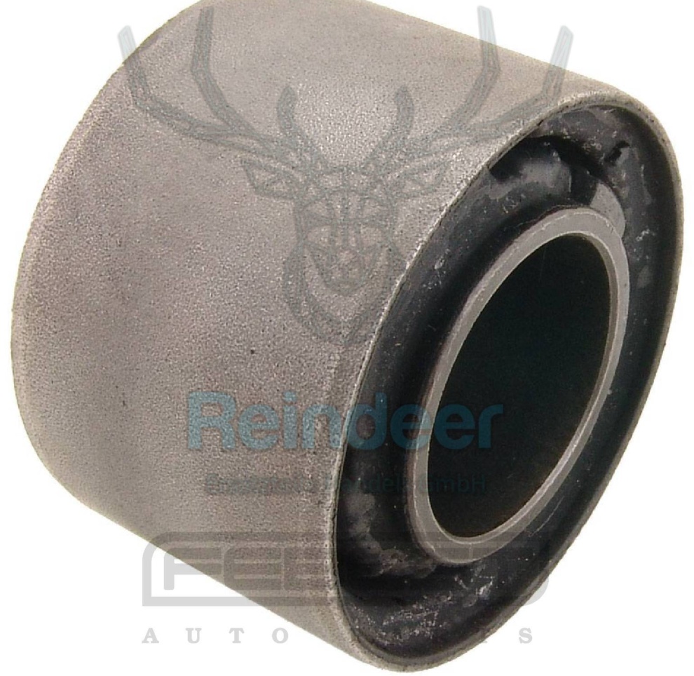 FEBEST-OE NAB-210.OE Mounting, differential for NISSAN