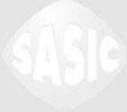 Fits SASIC 2256005 REAR ARM BUSH REAR LOWER