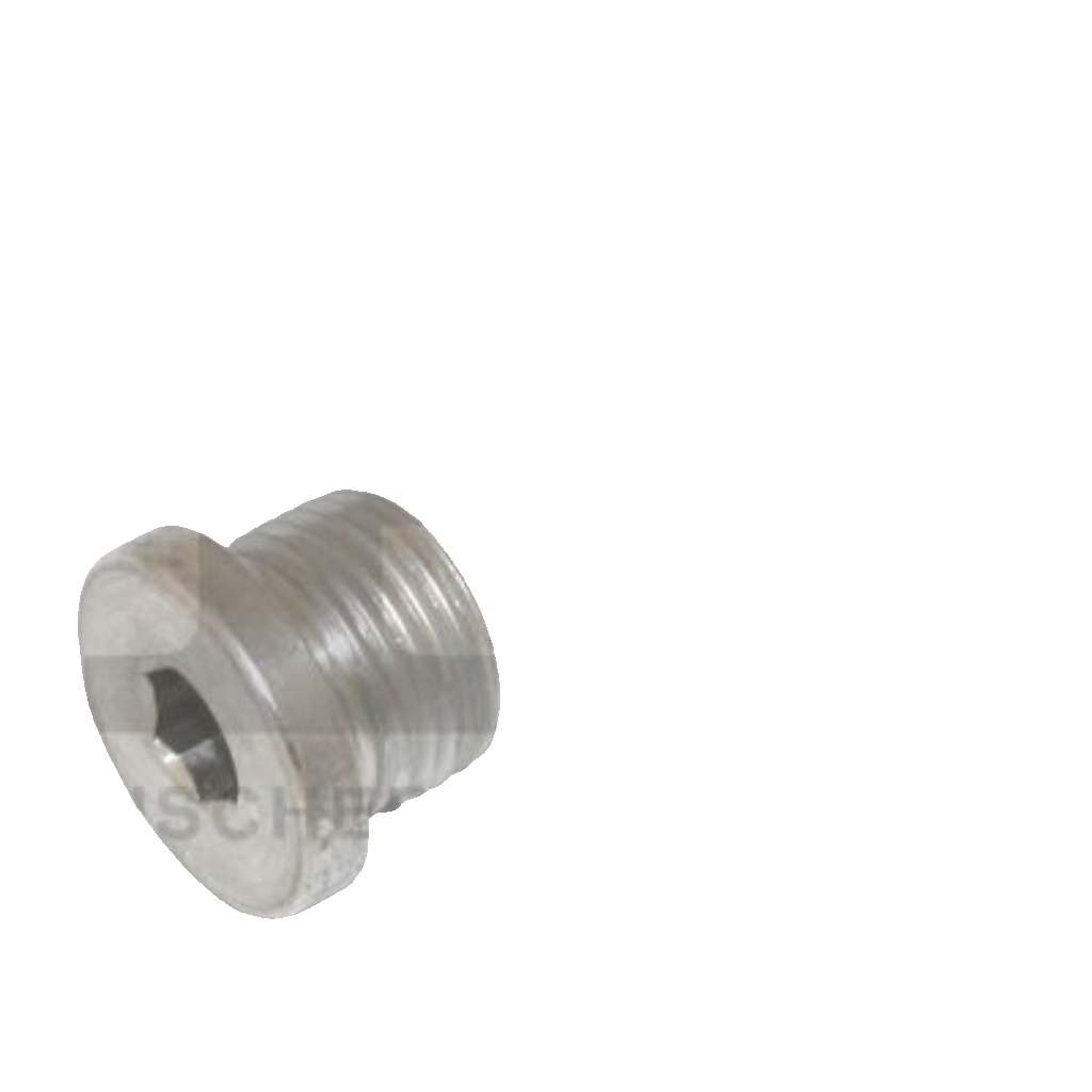 FA1 866.361.011 Sealing Plug, oil sump for PORSCHE